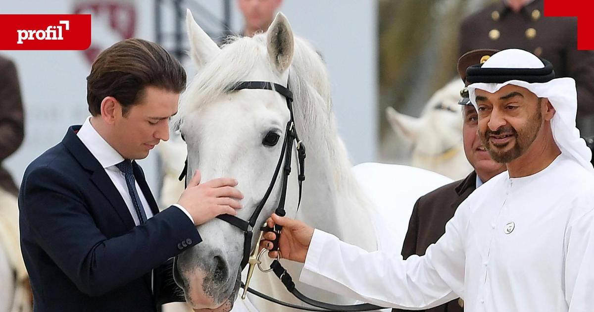 Lipizzaner-Kurz-Gastgeschenk-an-Abu-Dhabi-Scheich-ist-tot