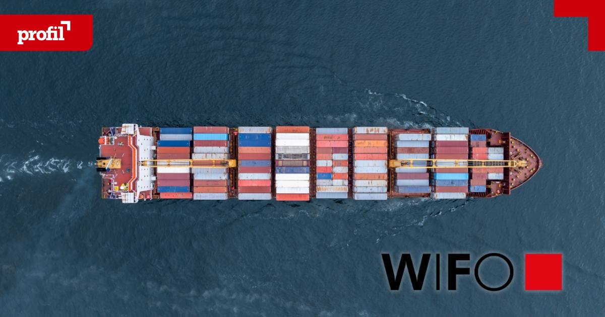 wifo-erkl-rt-18-milliarden-euro-wertsch-pfung-durch-mercosur