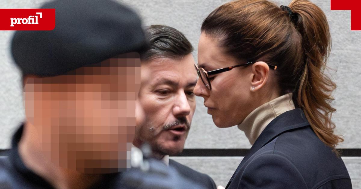 Causa-Benko-Tresor-Schuldspruch-f-r-ihn-Freispruch-f-r-sie