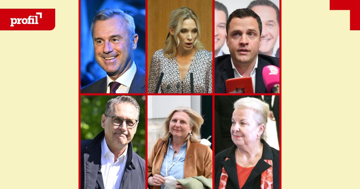 Resilienzseminare-PR-Pillen-Das-machen-Ex-FP-Politiker-heute