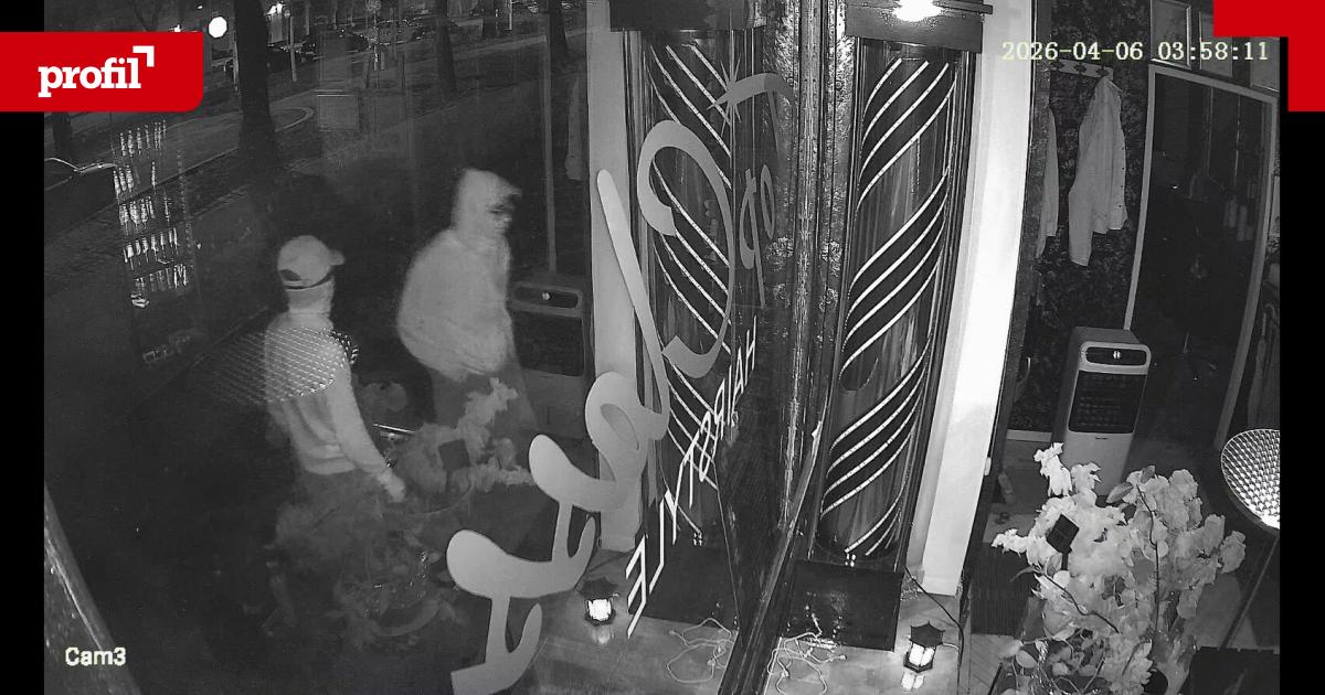 Teenie-Gangs-in-Wien-VP-und-FP-fordern-Strafm-ndigkeit-ab-12-Jahren