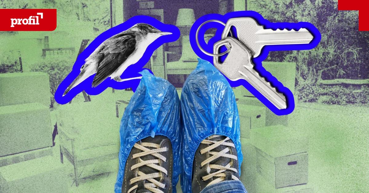 Tatortschuhe-und-tote-V-gel-152-Tage-auf-Wohnungssuche-in-Wien