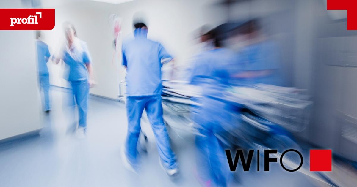 WIFO-erkl-rt-Was-PVE-f-r-Spit-ler-leisten-k-nnen