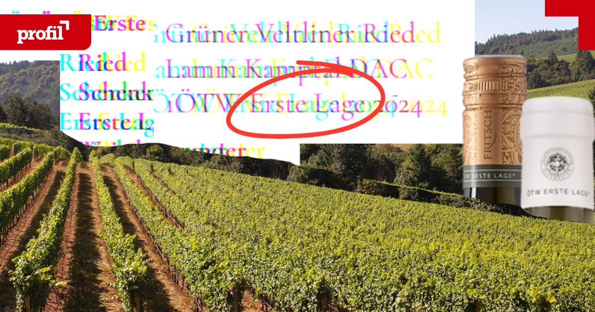 Weingesetz-Wenn-die-Branche-am-Gesetz-mitschreibt