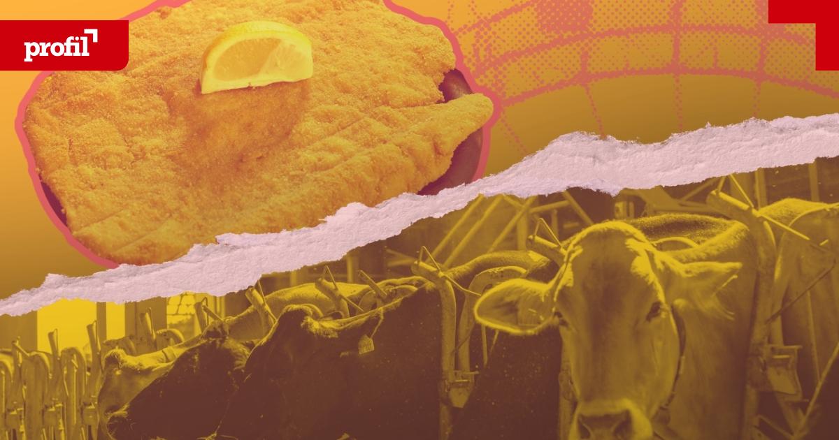 Wiener-Schnitzeljagd-Woher-kommt-das-Fleisch-wirklich-