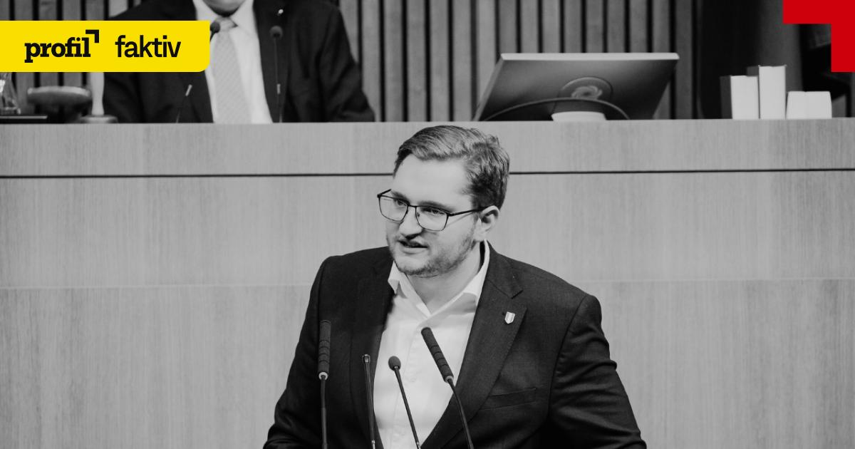 Faktencheck-FP-spielt-rechtsextreme-Tathandlungen-herunter
