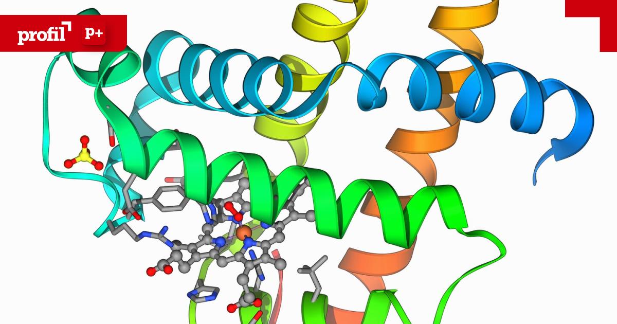 proteine-bausteine-des-lebens-und-geheimnis-vieler-krankheiten