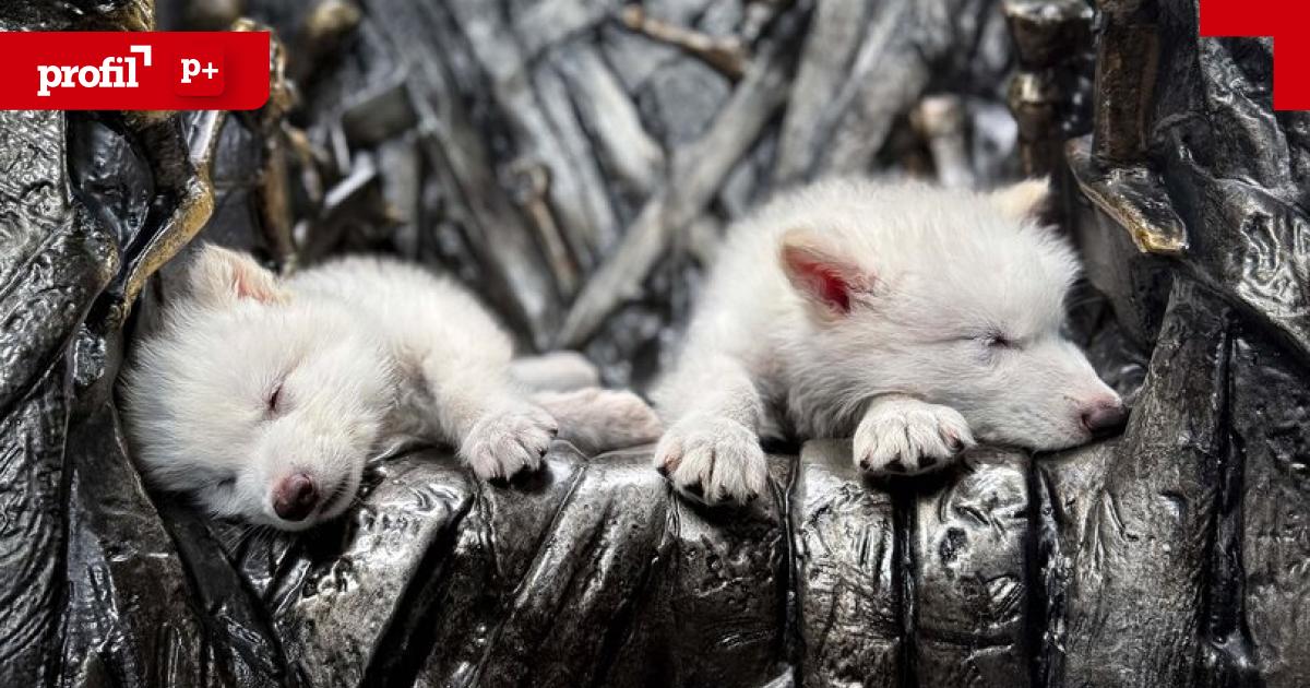 Die-R-ckkehr-der-Eiszeit-Tiere