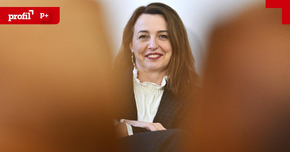 Selma Arapović: The Michael Ludwig moderate