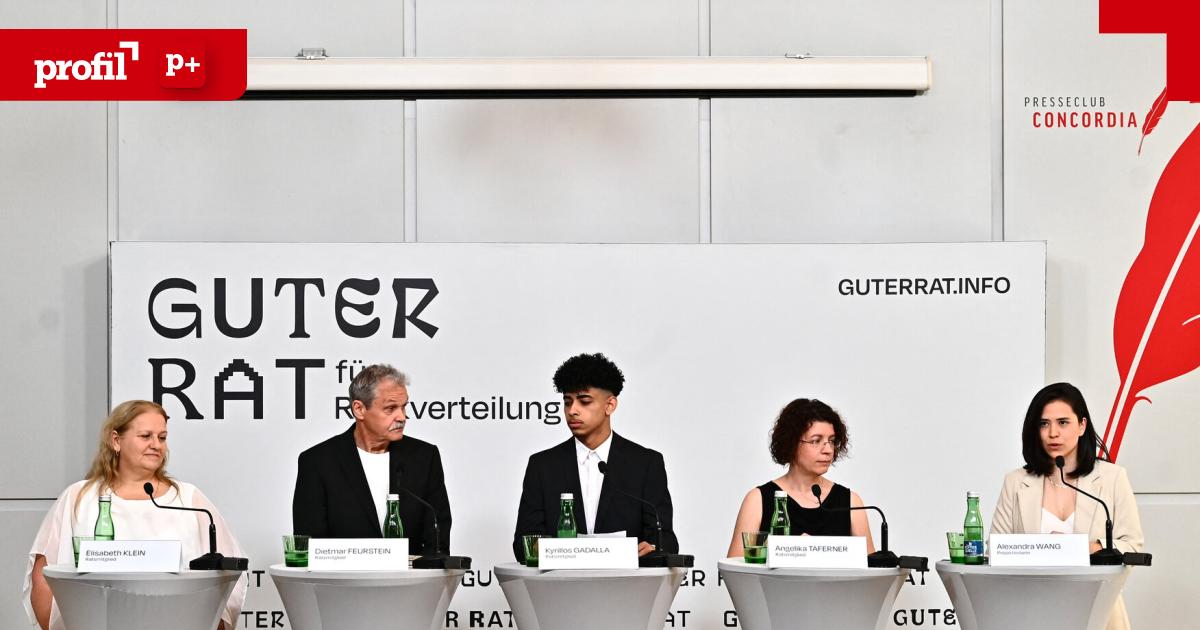 Guter-Rat-Was-passierte-mit-den-25-Millionen-von-Marlene-Engelhorn-