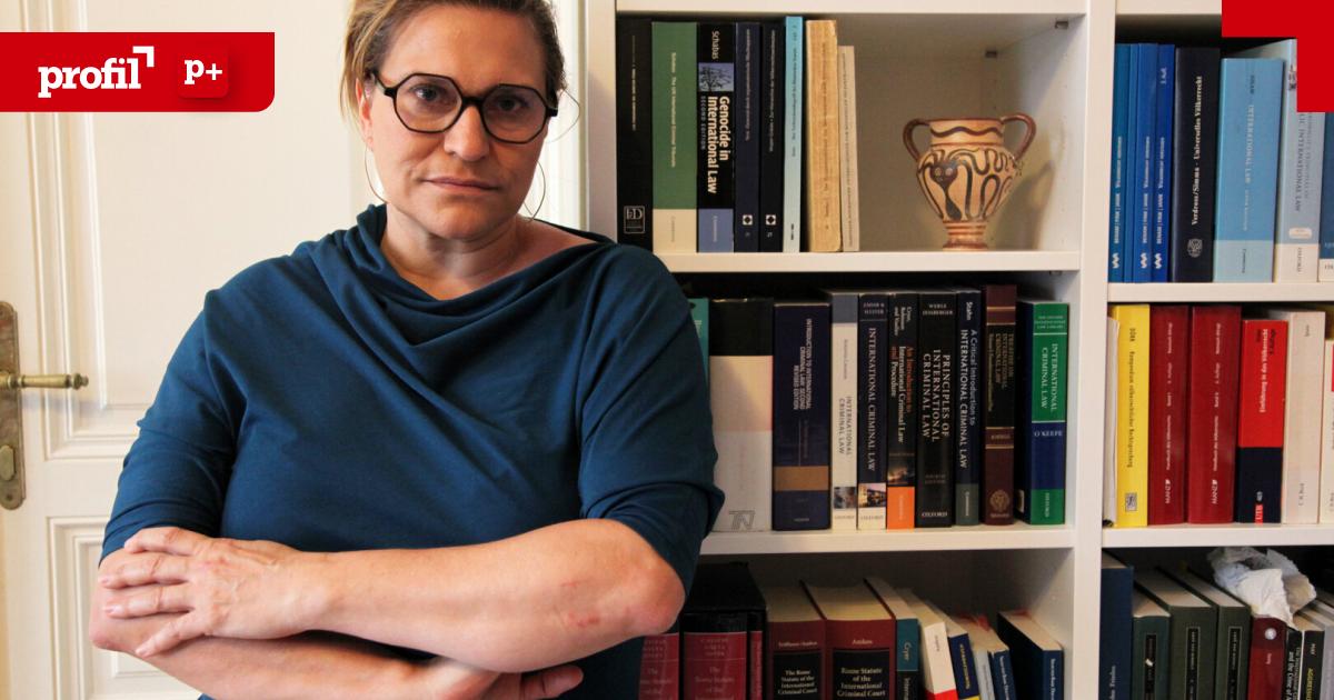 Expertin-ber-V-lkermordklage-gegen-Israel-Beweisstandard-ist-hoch-