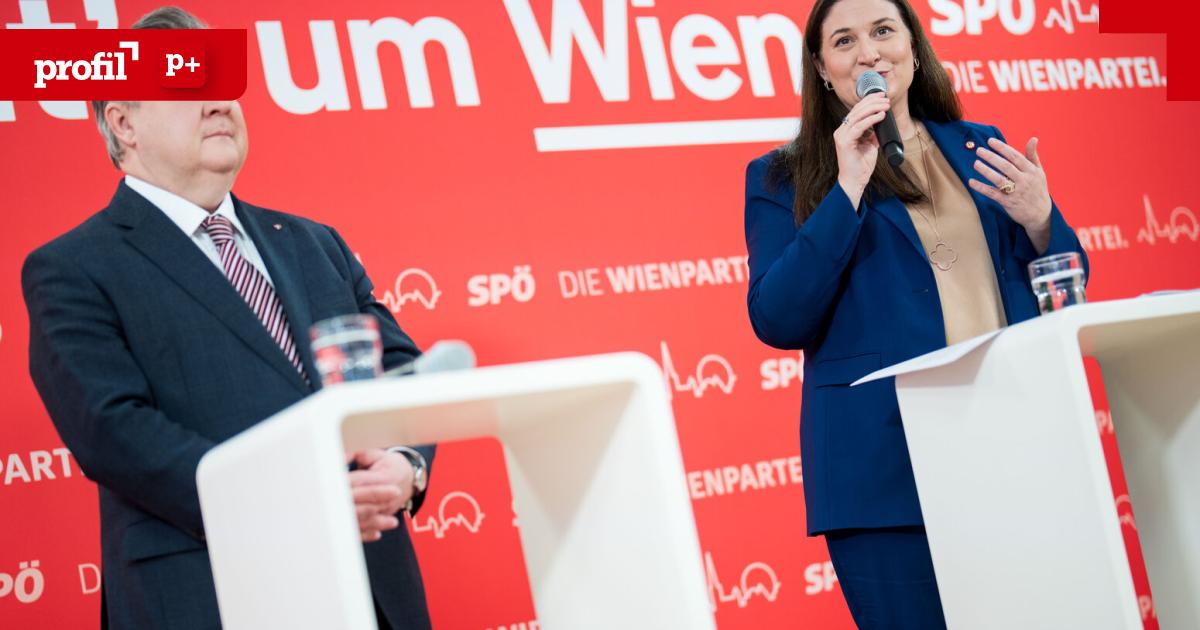Wien-K-rzungen-bei-U-Bahn-Bau-und-Spitalsbetten-