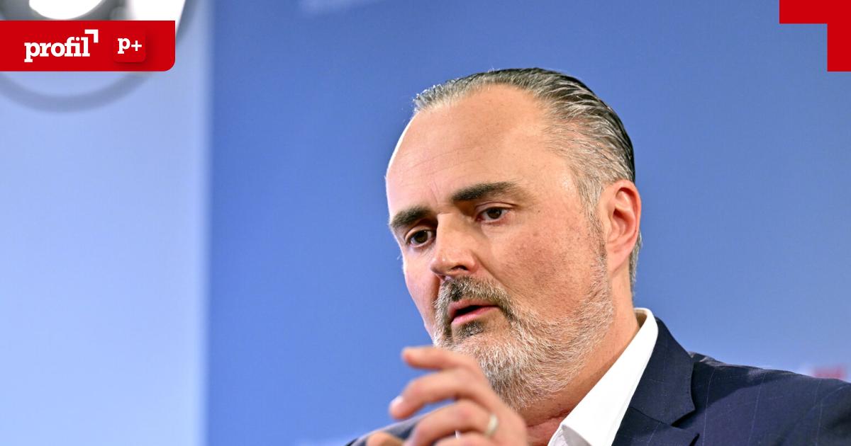 Wie-Doskozil-zwei-Banken-eine-Wohnbaugesellschaft-abluchste