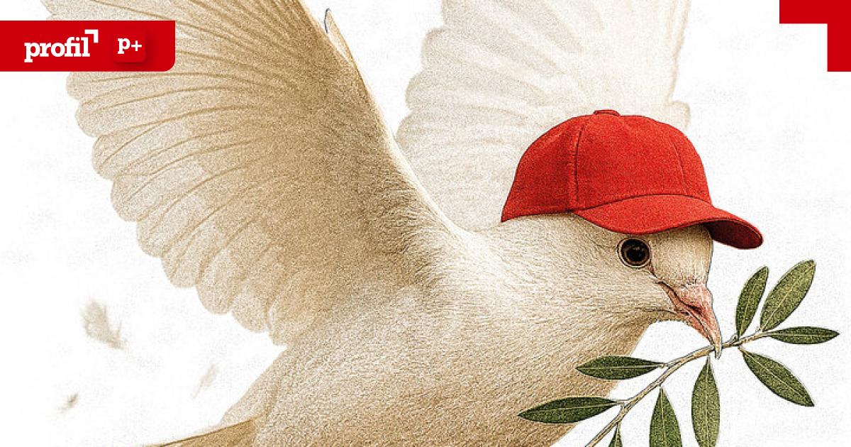 Warum-Trumps-Plan-gelingen-k-nnte-oder-auch-nicht