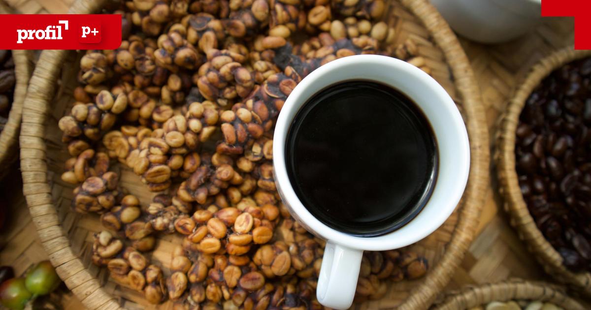 Das-perfekte-Katzenkot-Aroma-Die-Geheimnisse-des-Luxus-Kaffees