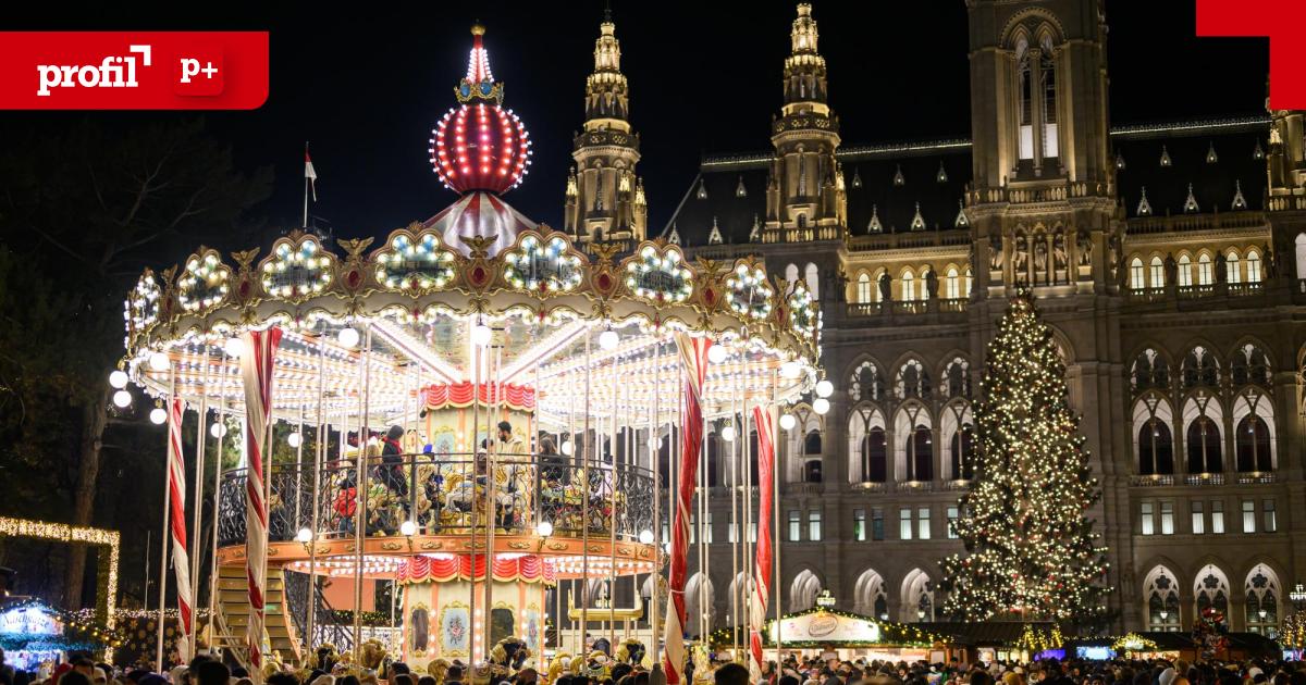 Geb-hren-Bescherung-Was-Wien-wirklich-kostet