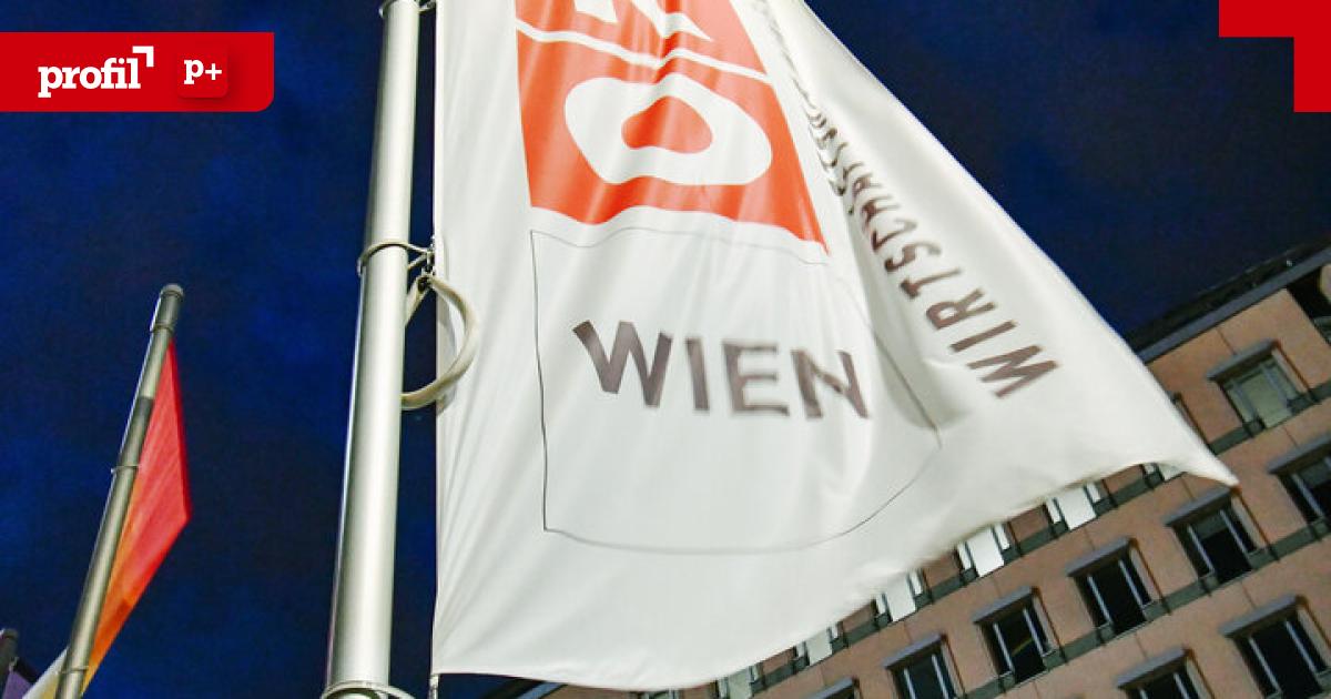 Wie-die-H-lfte-des-WKW-Verm-gens-in-eine-intransparente-Holding-verschoben-wurde