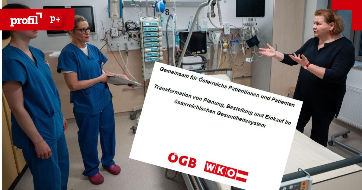Geheimpapier-So-radikal-wollen-die-Sozialpartner-das-Gesundheitswesen-umbauen