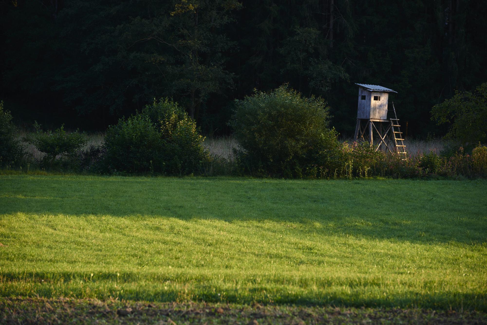 Symbolfoto: Hochstand in der Steiermark