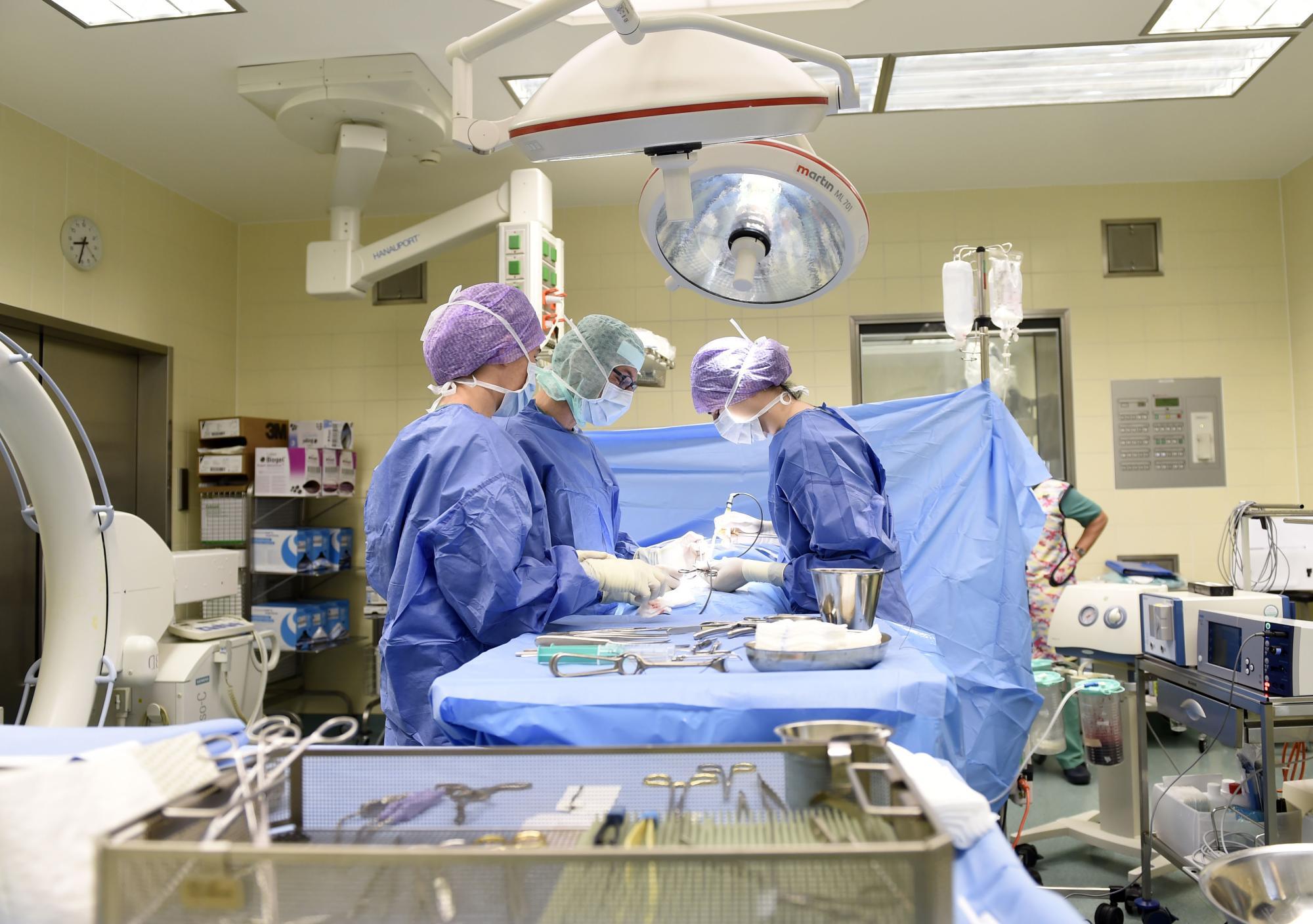 Auf dem Bild befinden sich Ärztinnen und Ärzte in einem Operationssaal in einem Krankenhaus in Niederösterreich